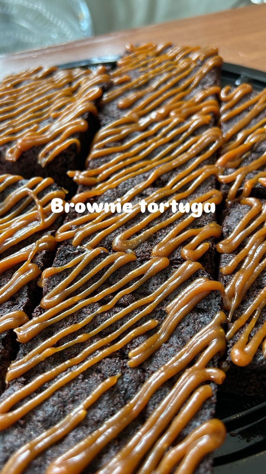 brownie tortuga