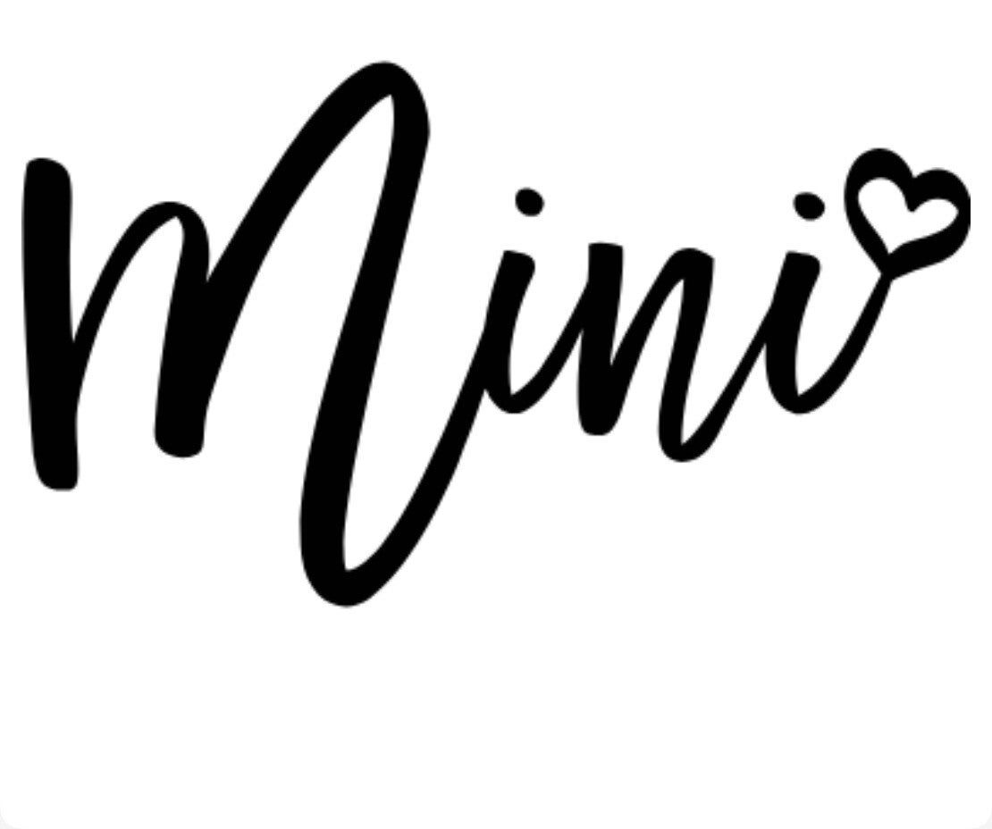 Mini