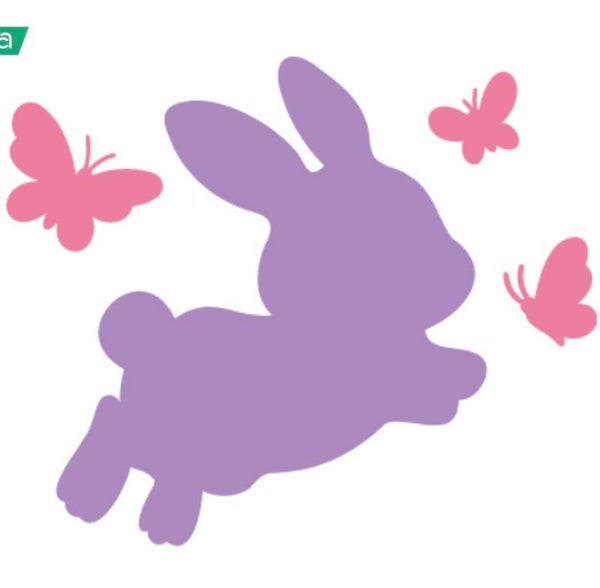 Hase