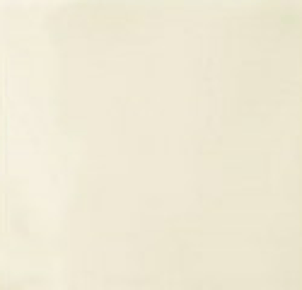 WD JHR1714 Glans grijs 15.2 x 15.2 (0.85 M2)