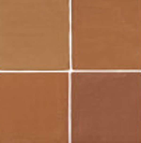 WD JHR2161 Mat rood 13 x 13 (0.5 M2)