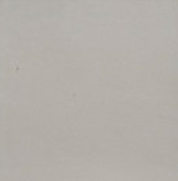 WD JHR3319 Wit 13 x 13 (0.5 M2)