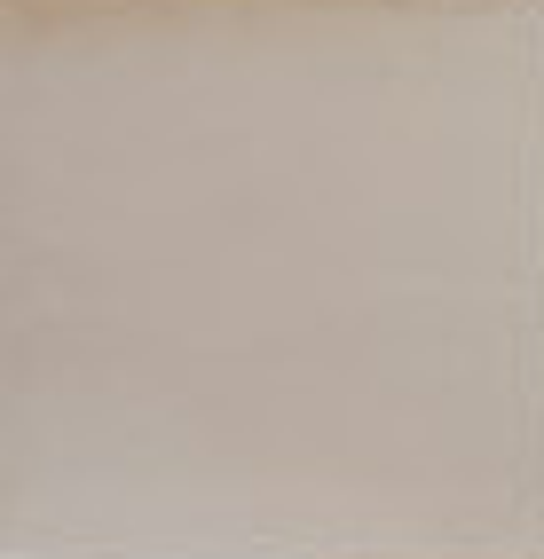 WD JHR3642 Glans creme 13 x 13 (0.5 M2)