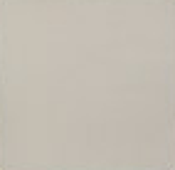 WD JHR3644 Beige 13 x 13 (0.5 M2)