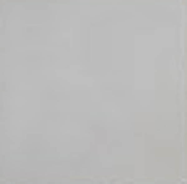WD JHR3646 Ivoor 13 x 13 (0.5 M2)