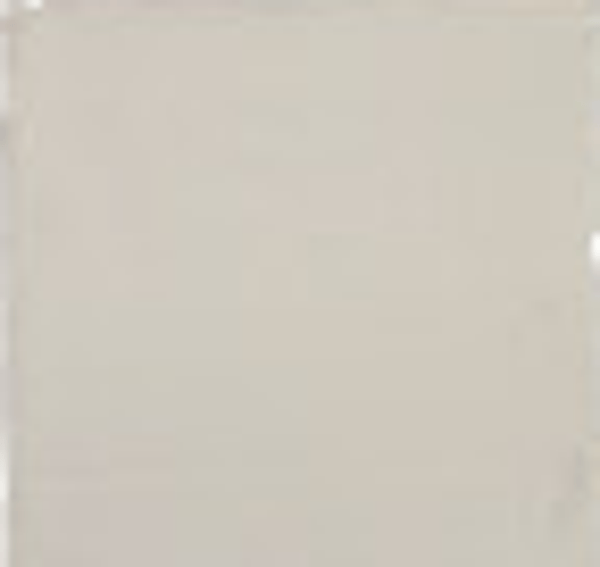 WD JHR3331 Glans ivoor 10 x 10 (1 M2)