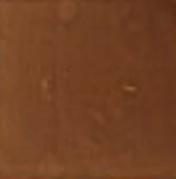WD JHR36318 Bruin 10 x 10 (1 M2)