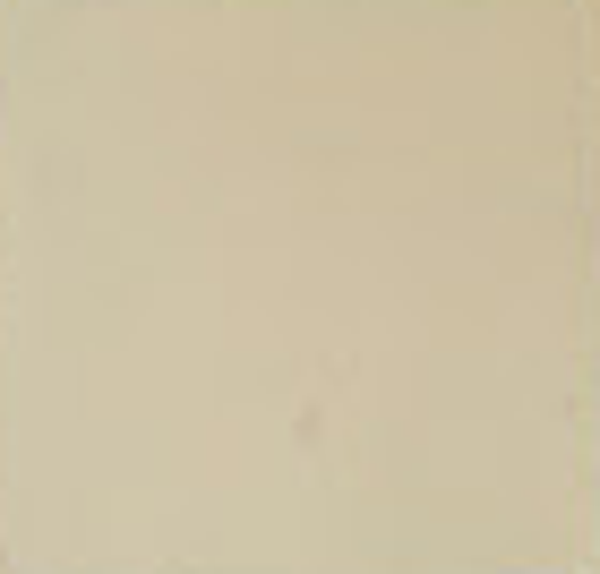 WD JHR3335 Glans beige 10 x 10 (1 M2)