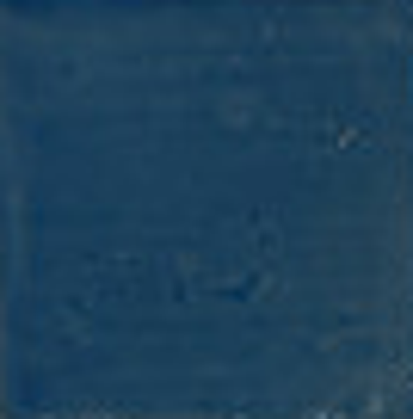 WD JHR3340 Blauw 10 x 10 (1 M2)