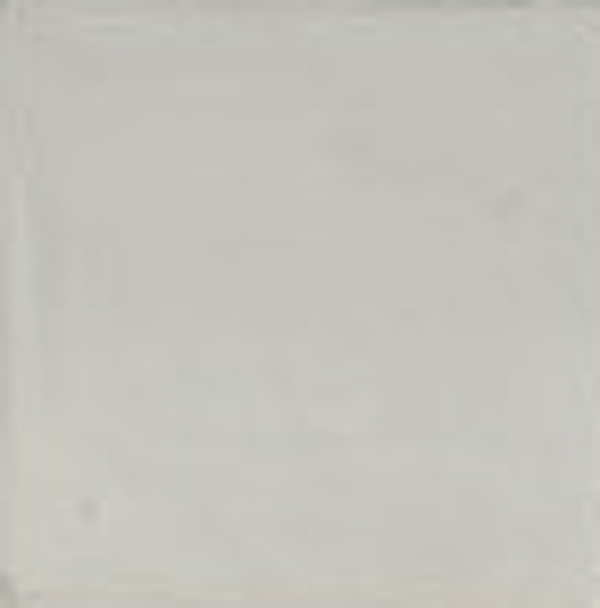 WD JHR396313 Mat grijs 10 x 10 (1 M2)