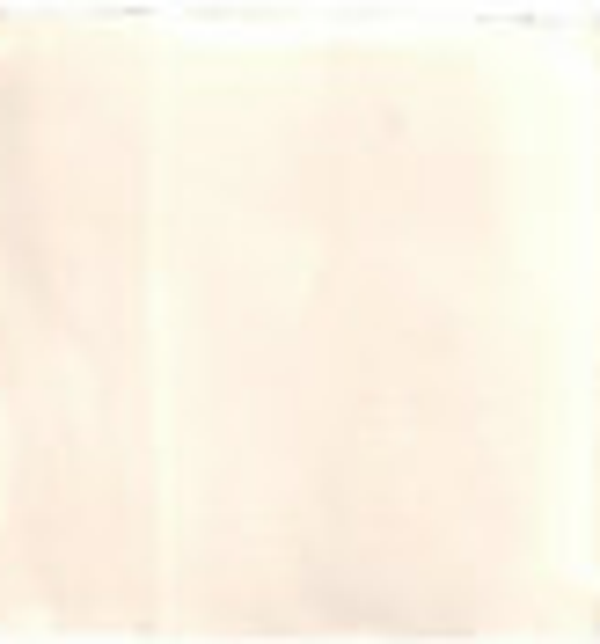 WD JHR36308 Glans creme 10 x 10 (1 M2)