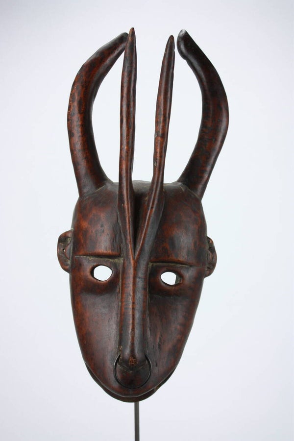 Lot A53 - Antilope Mask