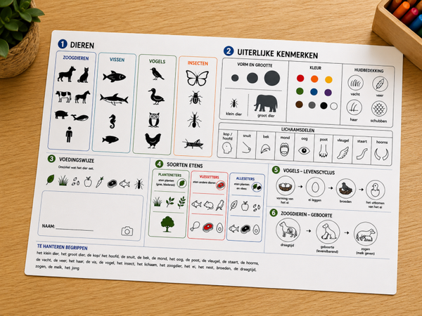 Onderzoek dieren volgens nieuw leerplan 2e kleuterklas