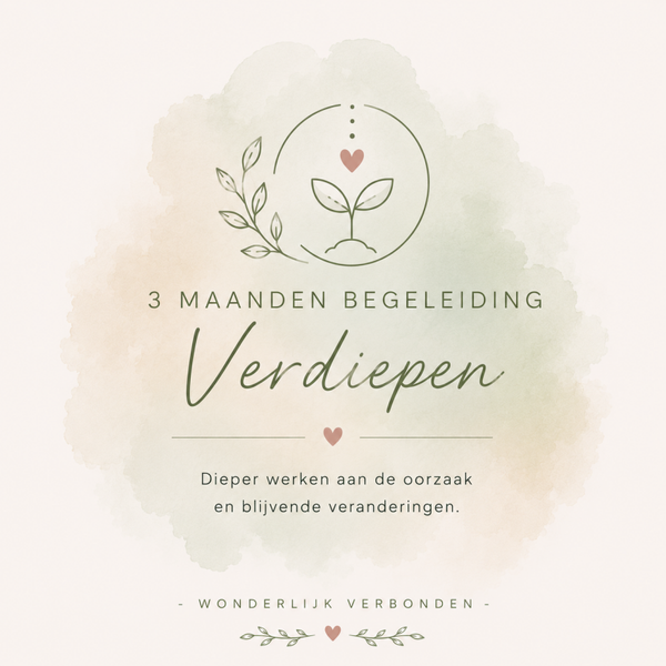 Verdiepen - 3 maanden begeleiding