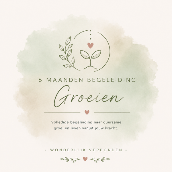 Groei - 6 maanden begeleiding