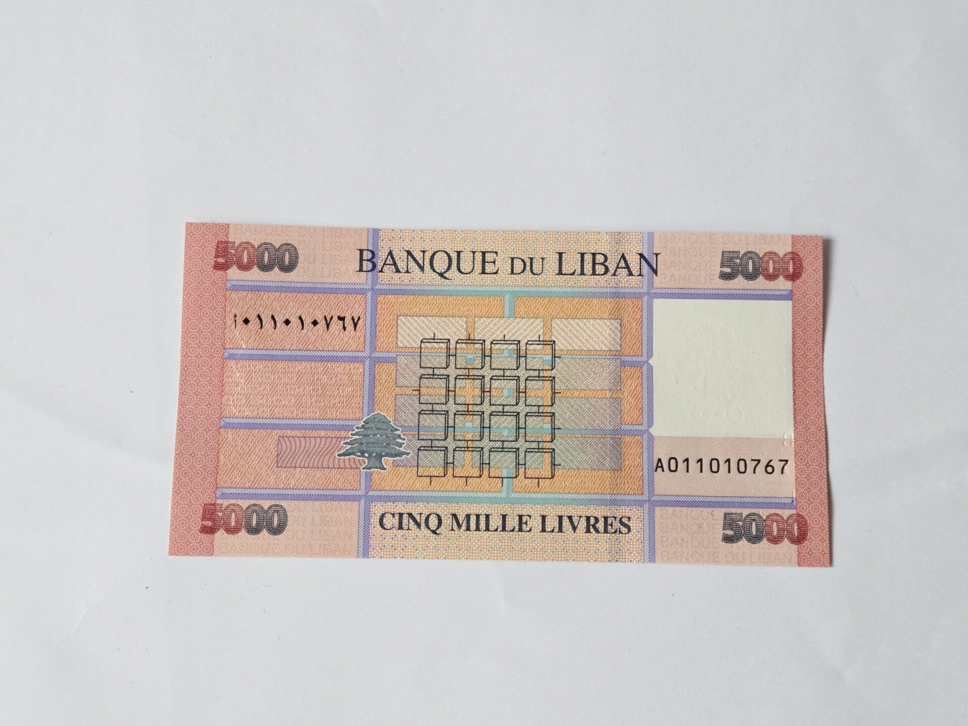 Bankbiljet: 5000 Livres.