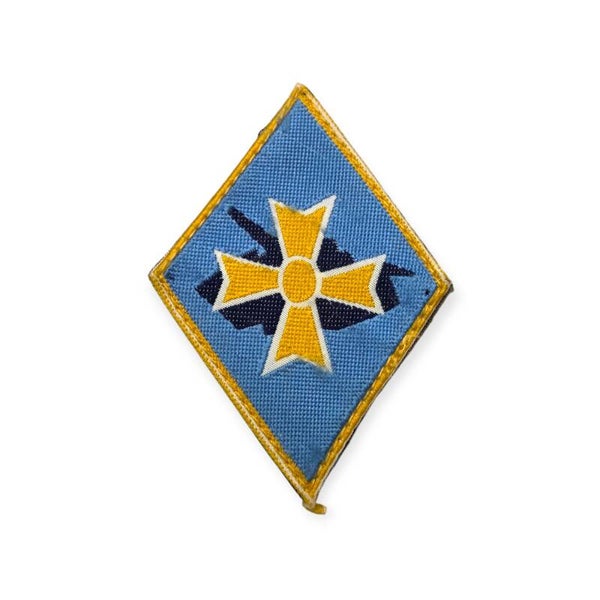 1° Division Blindée embleem.