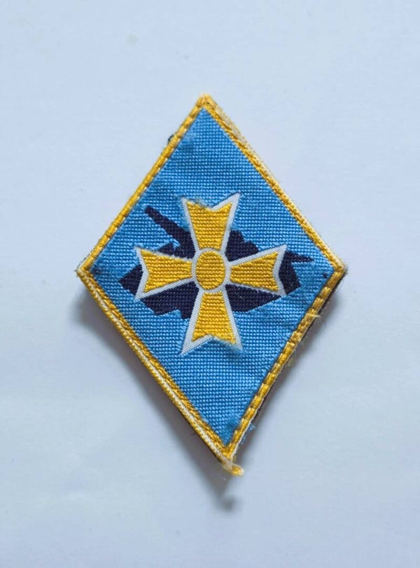 Losange de bras: 1re division blindée.