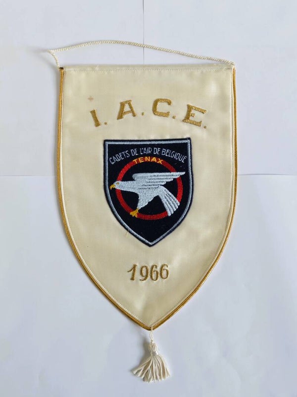 Koninklijke Belgische Luchtcadetten vaantje.