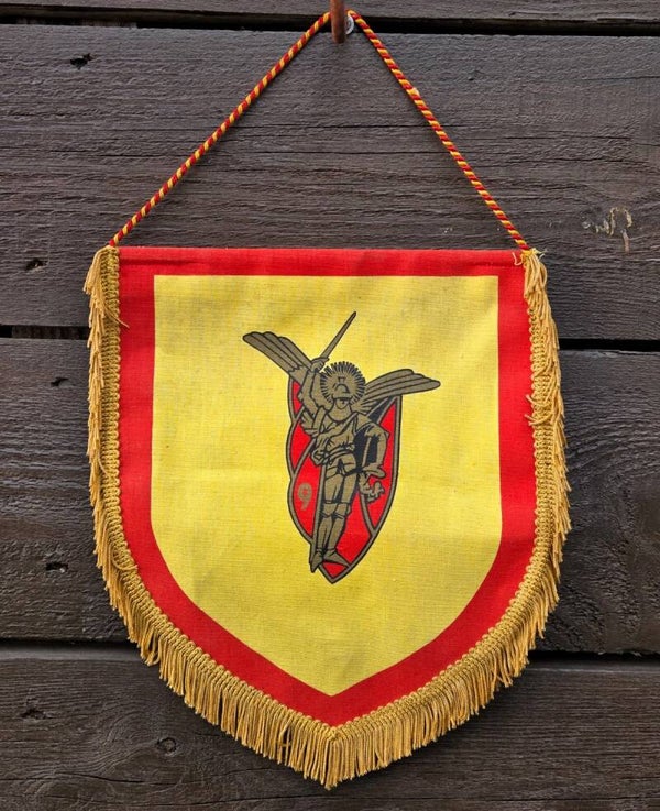 9e Régiment de Chasseurs Parachutistes vaantje.
