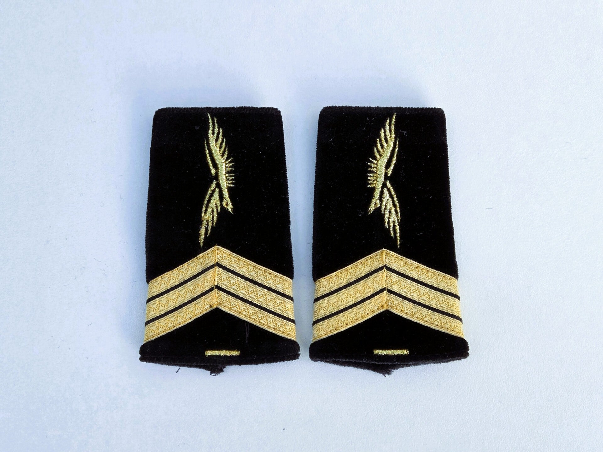fourreaux épaulettes Armée de l'Air.