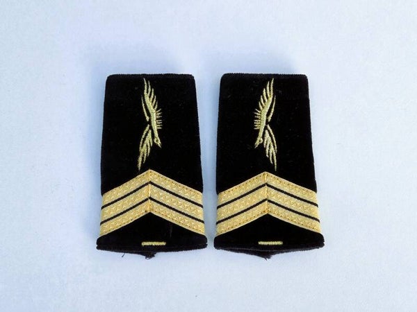 fourreaux épaulettes Armée de l'Air.