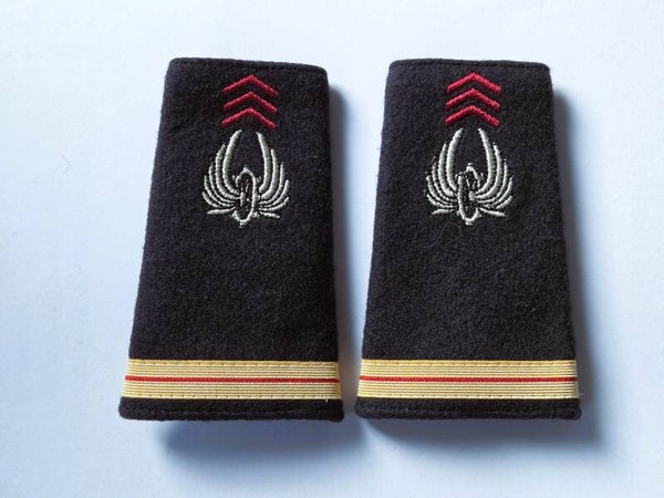 Fourreaux d'Épaule Adjudant.