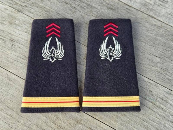 Franse militaire schouderpassanten.