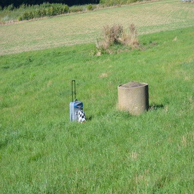 dsc_0022-standard.jpg