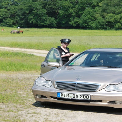 img_2903-standard.jpg
