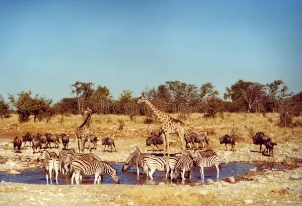 Kenia Romántica y Playas del Índico