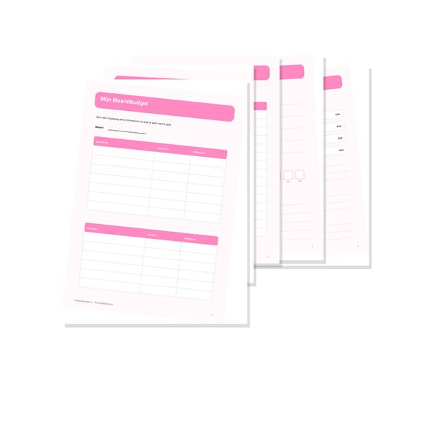 Roze Budgetplanner PDF | Printbare Budget Planner