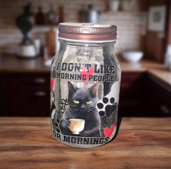 I don't like morning people funny cat Mason jar with handle