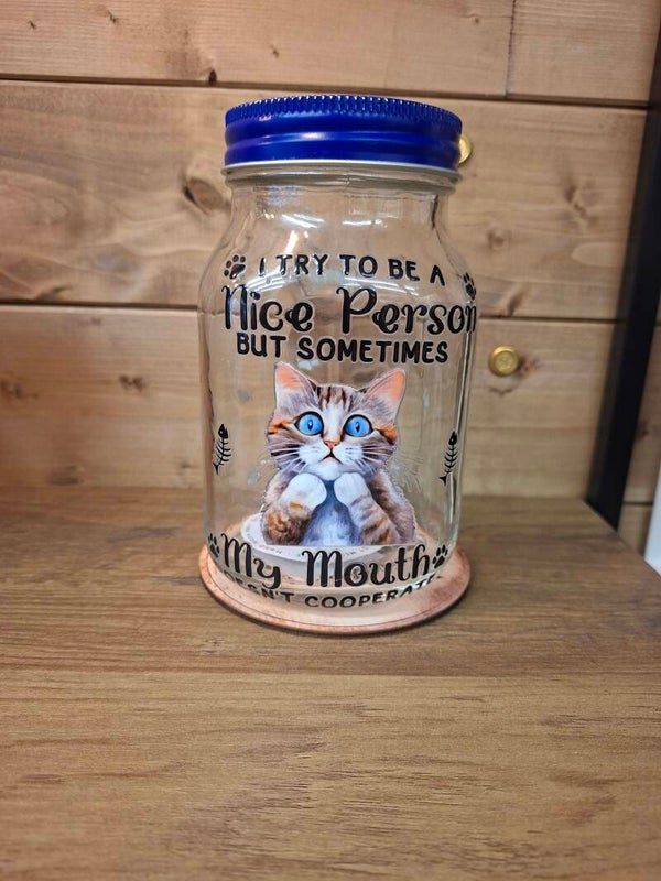 I try to be a nice person mason jar