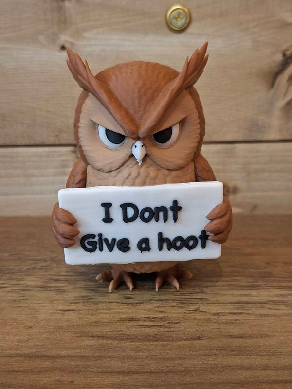 3D printed I dont give a hoot