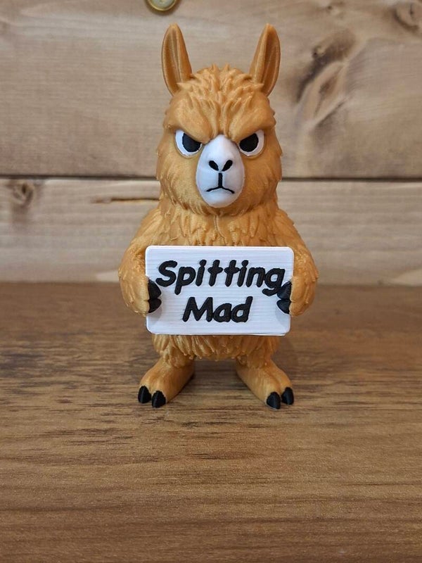 3D printed spitting mad
