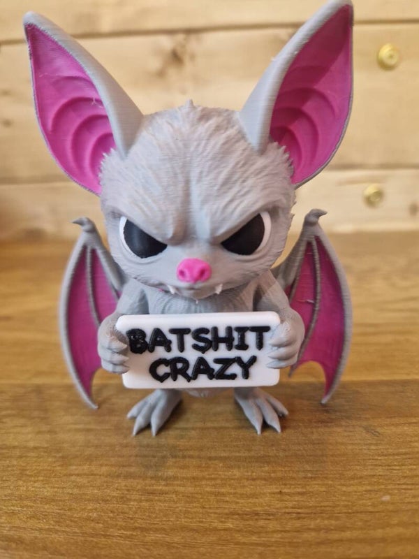3d printed batshit crazy