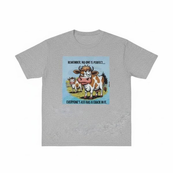 Remember noone is perfect T shirt