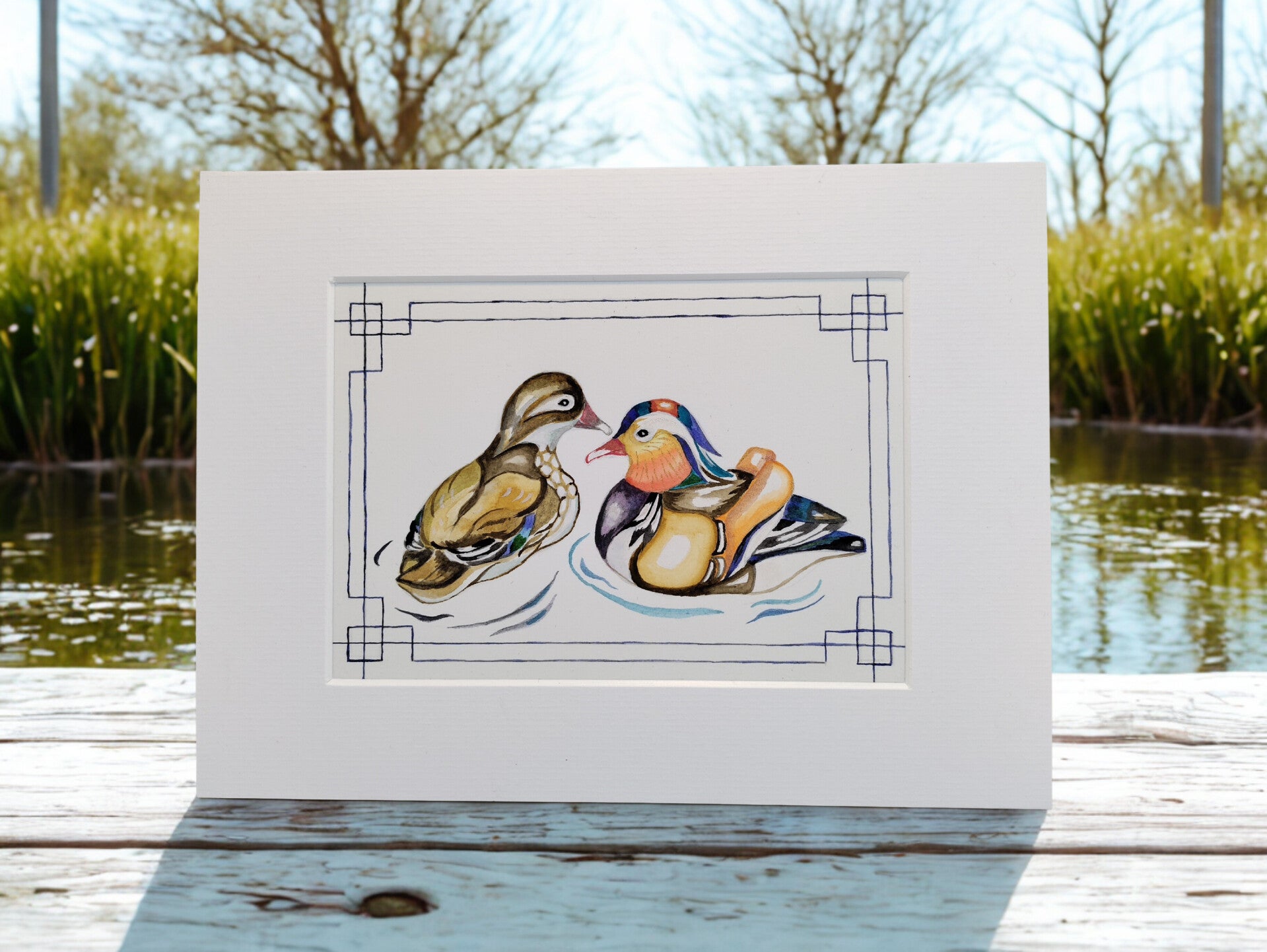 Swimming Mandarin Ducks Mounted