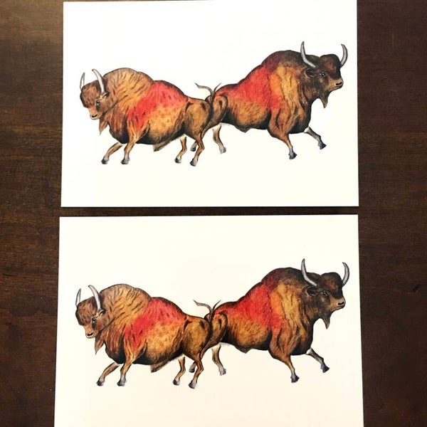 (2) Postcards Crossed Bison of Lascaux