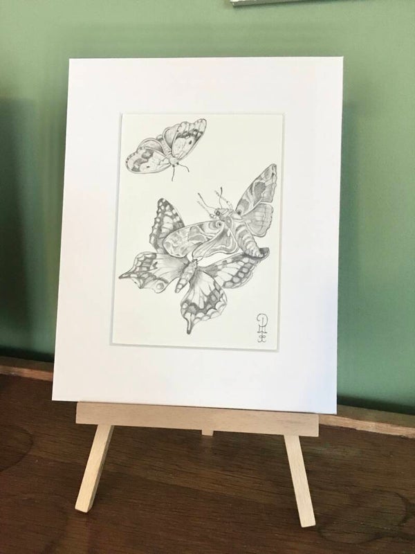 Low Stimuli Minimalist Butterfly Drawing