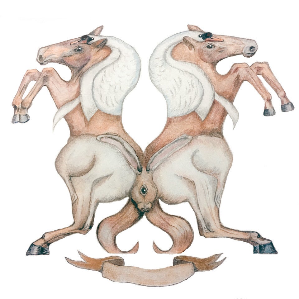 Shapeshifting Animals: find all 6!