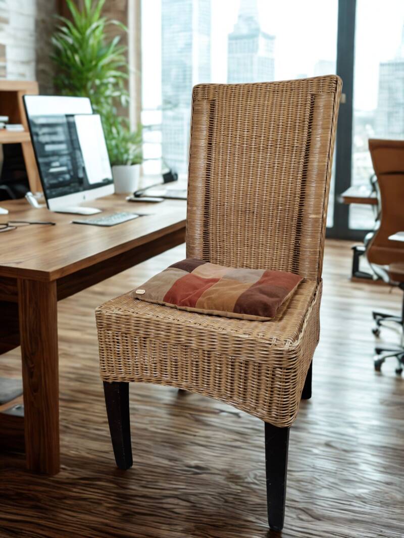 Velvet Cushion Earth Tones Office Warmth