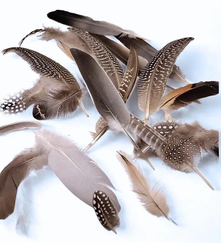 Natural Ethically Sourced 35 x Feathers