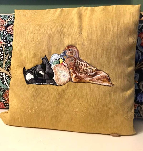 King Eider Art Pillow (SOLD)
