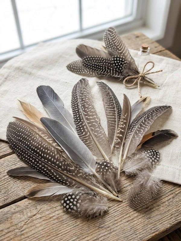 Natural Ethically Sourced 50 x Feathers