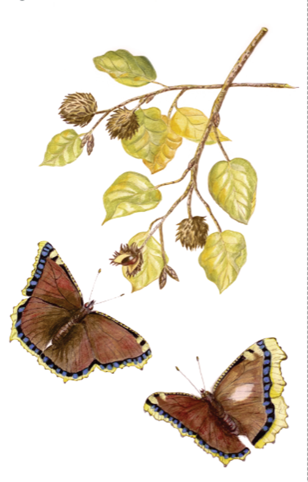 Sympathy Art Card Mourning Condoleance Card