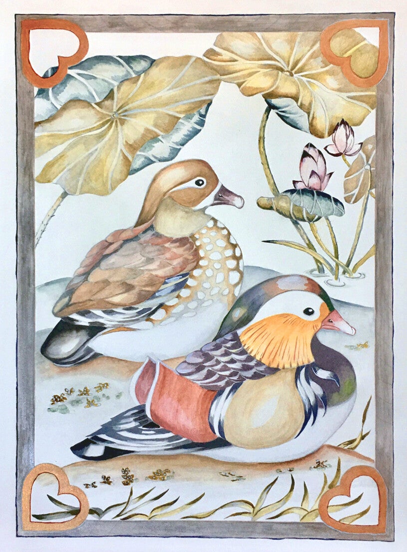 Mandarin Duck Couple Under Lotus Leaves