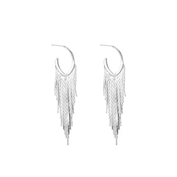 Oorbellen Silver Party