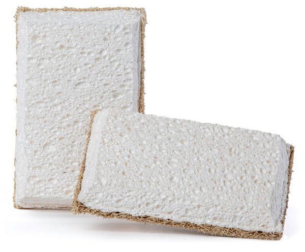 Vaatwasspons loofah 2 stuks